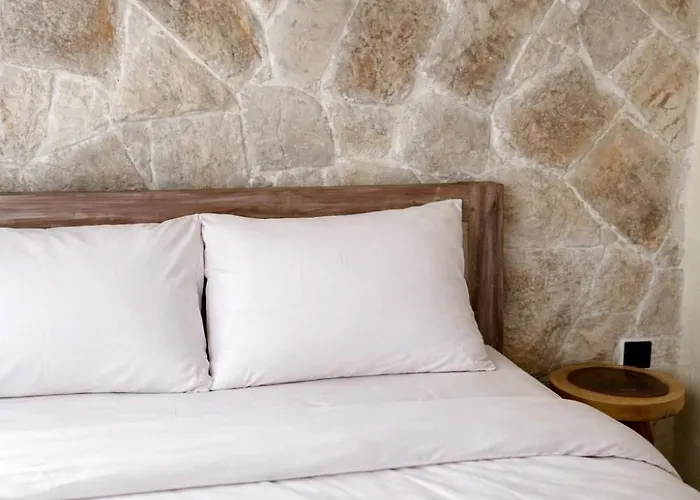 Nomad Tropical Canggu